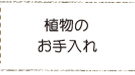 植物のお手入れ